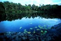 Lake Parramatta Reserve