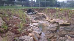 Finished creek remediation
