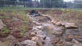 Finished creek remediation