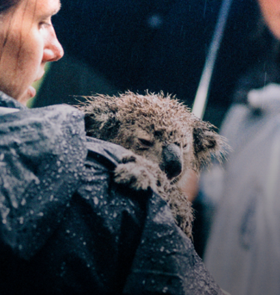 Bushfire Hazard  Management